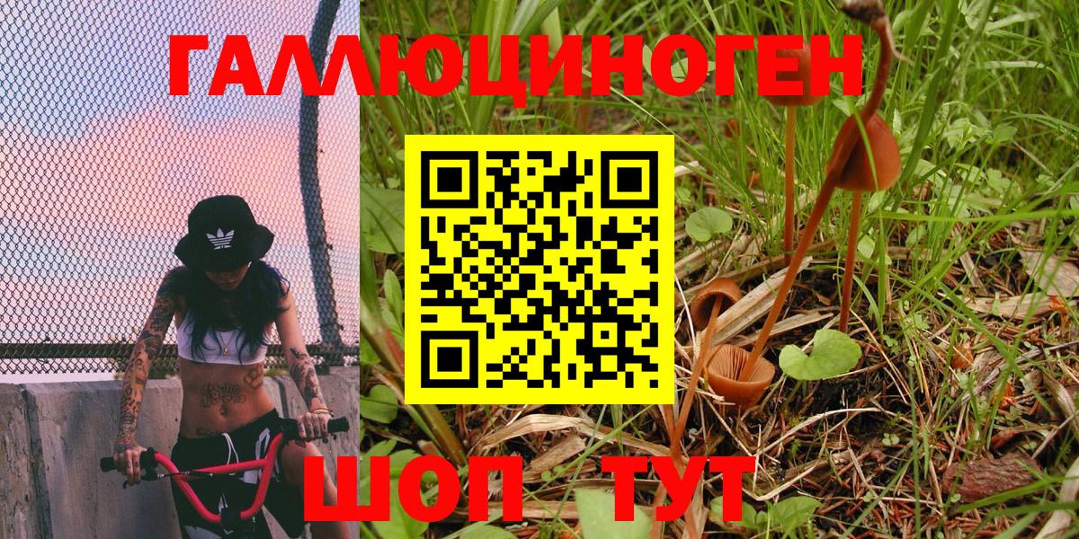 Галлюциногенные грибы мухоморы  Вход с VPN  Сертолово 