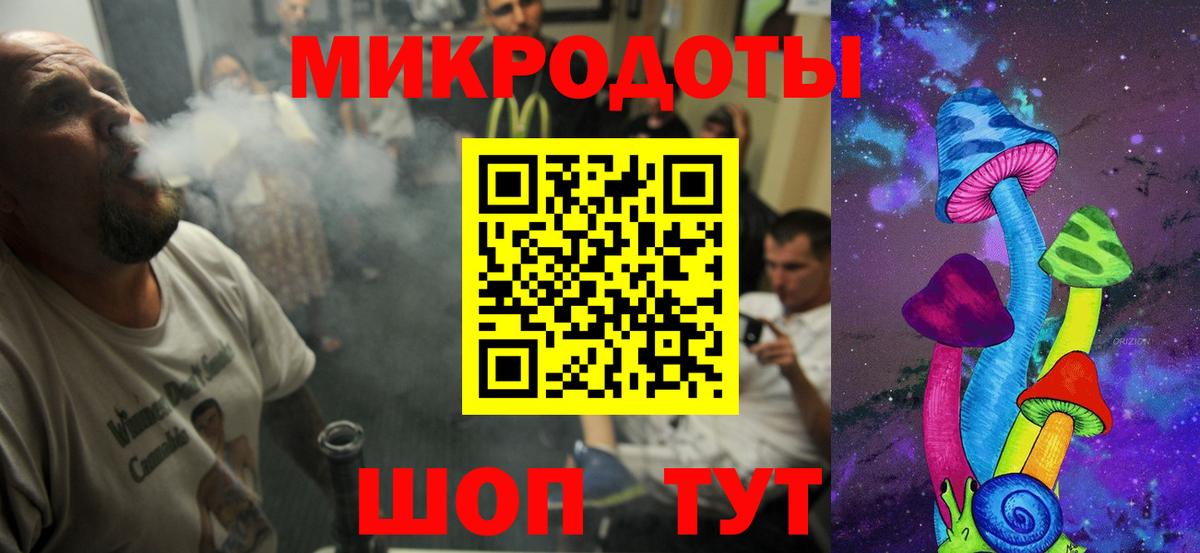 Псилоцибиновые грибы Cubensis Сертолово